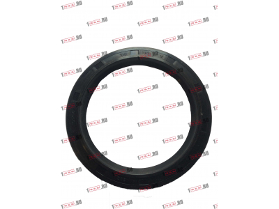 Сальник 100х130х12 Европа ЕВРОПА 030.214-00A фото 1 Пенза