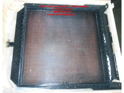 Радиатор охлаждения двигателя CDM 855EK Lonking CDM (СДМ) CDM855EK.01I.04 фото 1 Пенза