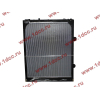 Радиатор WP12 SH SHAANXI / Shacman (ШАНКСИ / Шакман) DZ95259532203 фото 2 Пенза
